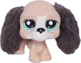 #2413 Basset Hound